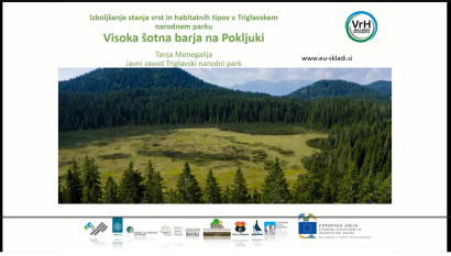 Visoka šotna barja na Pokljuki