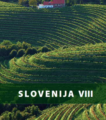 Slovenija VIII