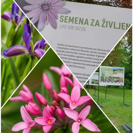 Seeds for life, exhibition