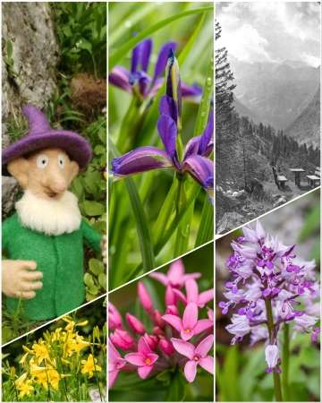 100 Years of the Alpine Botanical Garden in Trenta