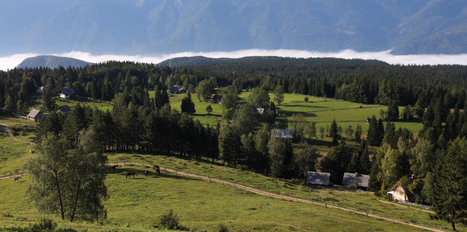 Z Rudnega polja na planino Uskovnica