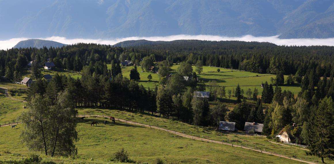 Z Rudnega polja na planino Uskovnica