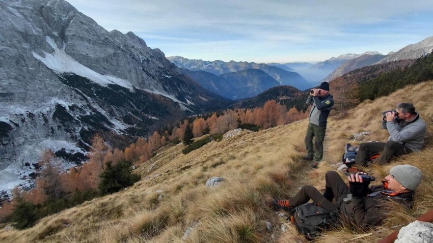 Na fotografiji so naravovarstveni nadzorniki v gorah, ki z daljnogledi opazuje živali.