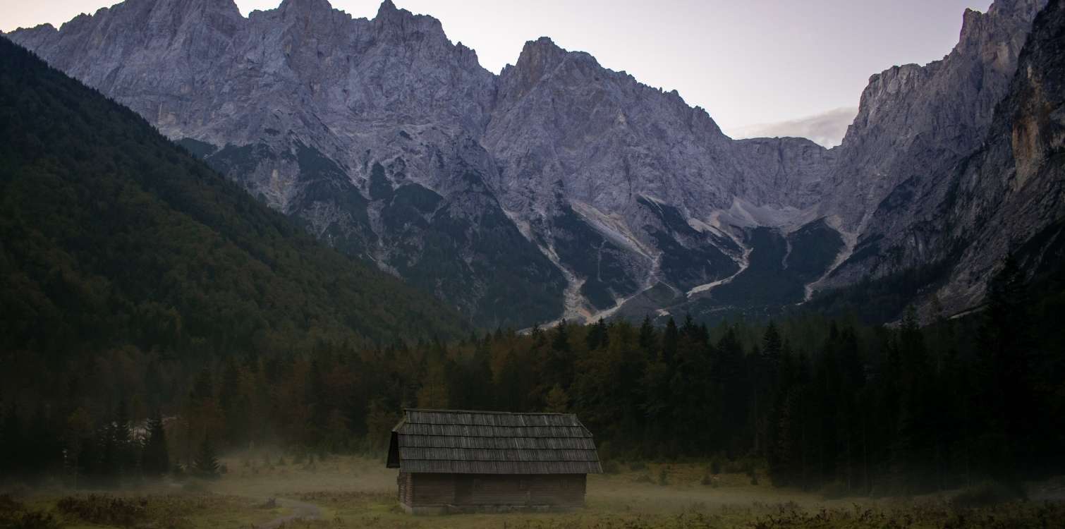 Prijava škode na kmetijskih in gozdnih kulturah