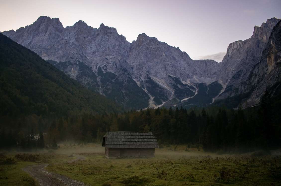 Prijava škode na kmetijskih in gozdnih kulturah