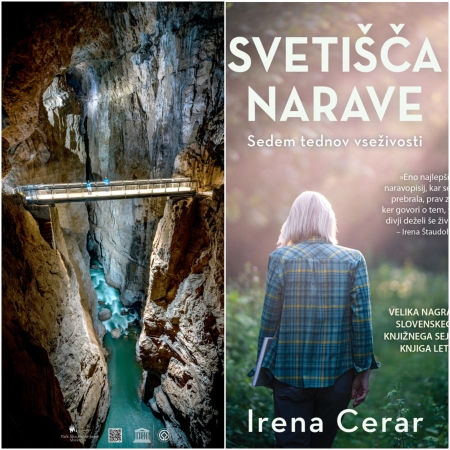 Svetišča narave in Škocjanske jame