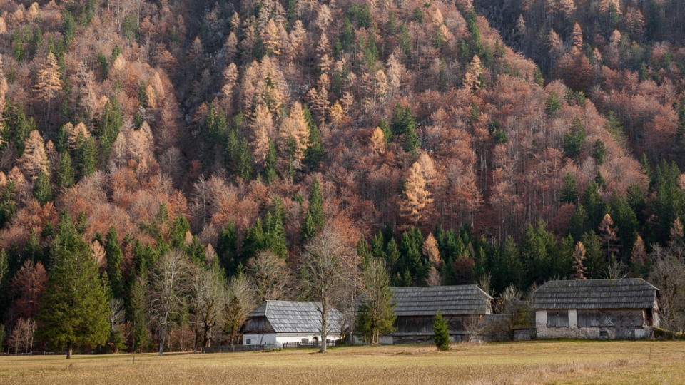 Pocarjeva domačija v Zgornji Radovni