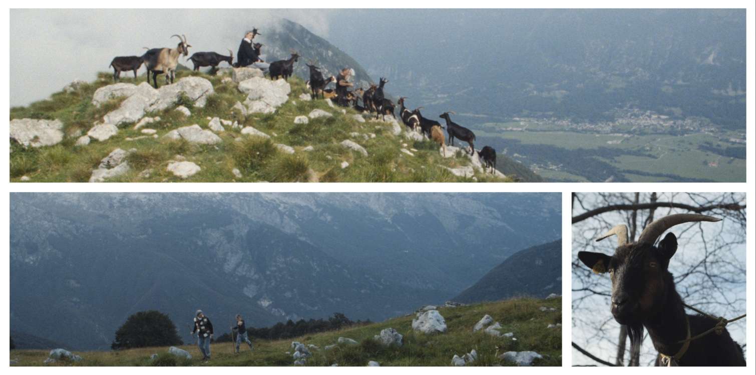 Drežniška koza in njeni ljudje - brezplačna projekcija filma in pogovor z ustvarjalci