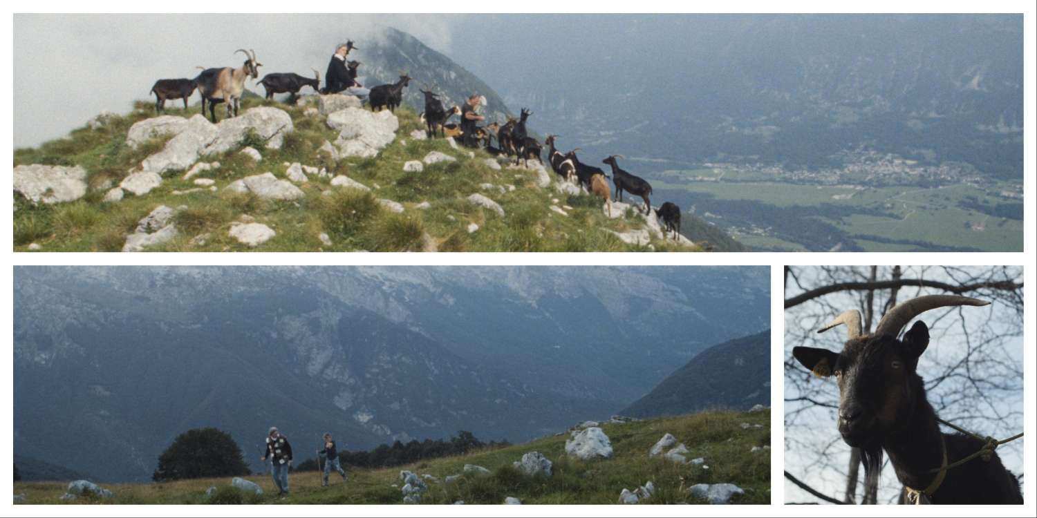 Drežniška koza in njeni ljudje - brezplačna projekcija filma in pogovor z ustvarjalci