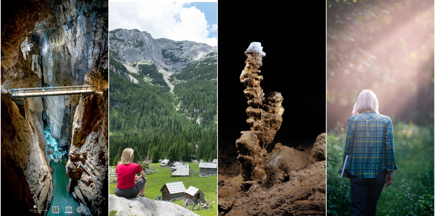 Svetišča narave in Škocjanske jame