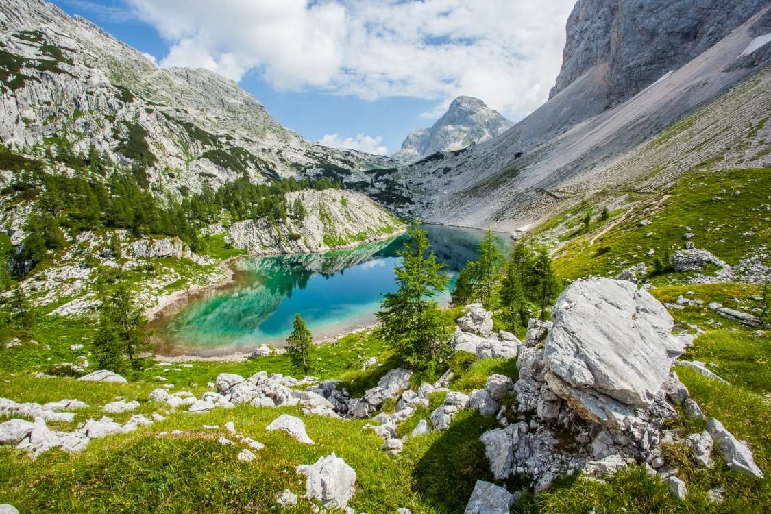 Osnovni podatki
