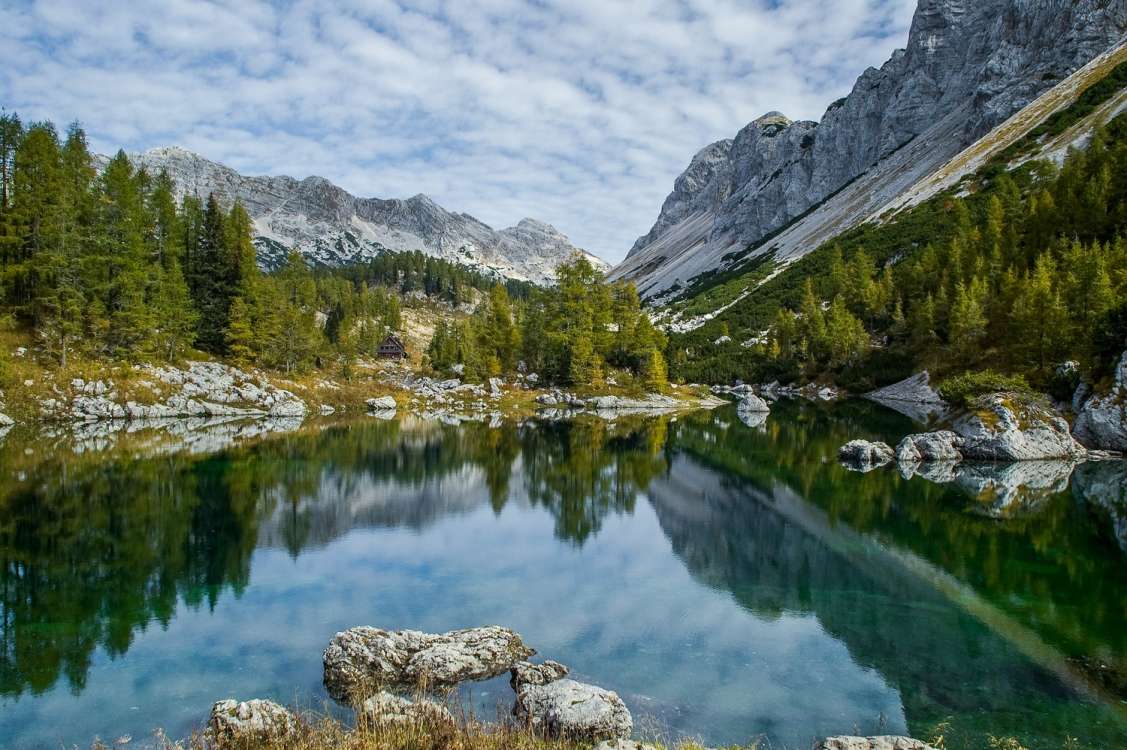 Razpisi in druge javne objave 