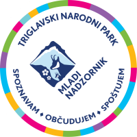 Dekorativni element