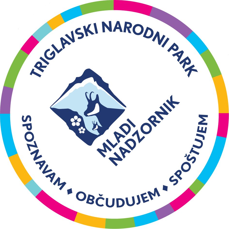 Dekorativni element