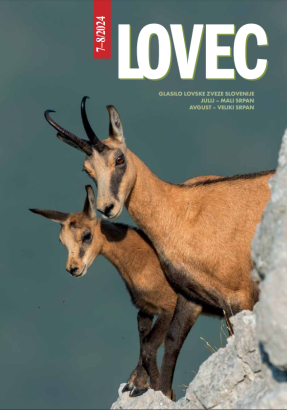 Lovec 2024-07