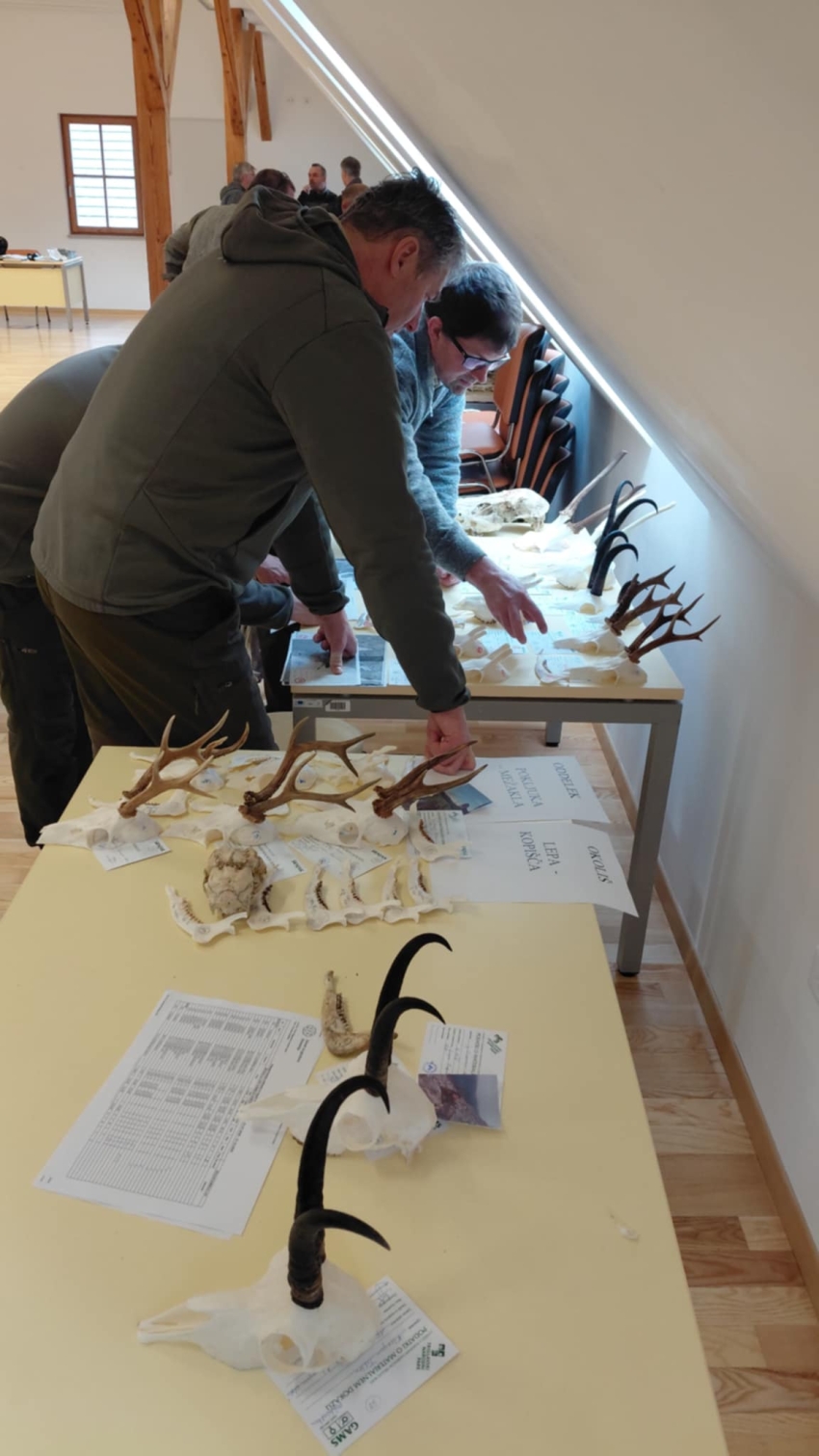 Fotografija prikazuje pregled trofej v Trenti.