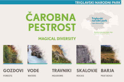 Occasional publications (Exhibition Magical Diversity)