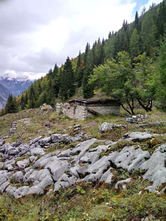 PLANINA TREBIŠČINA -  brezplačen voden pohod