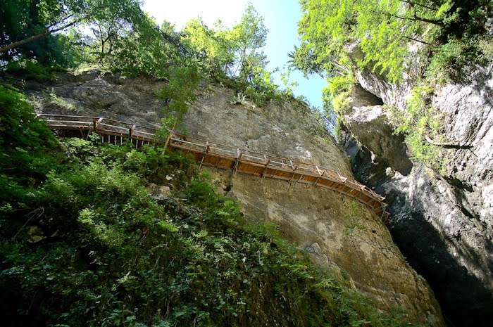 Guided tour through the Pokljuka Gorge 