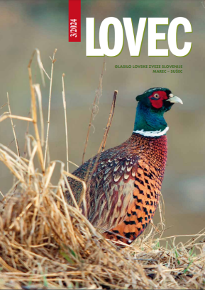 Lovec 2024-03