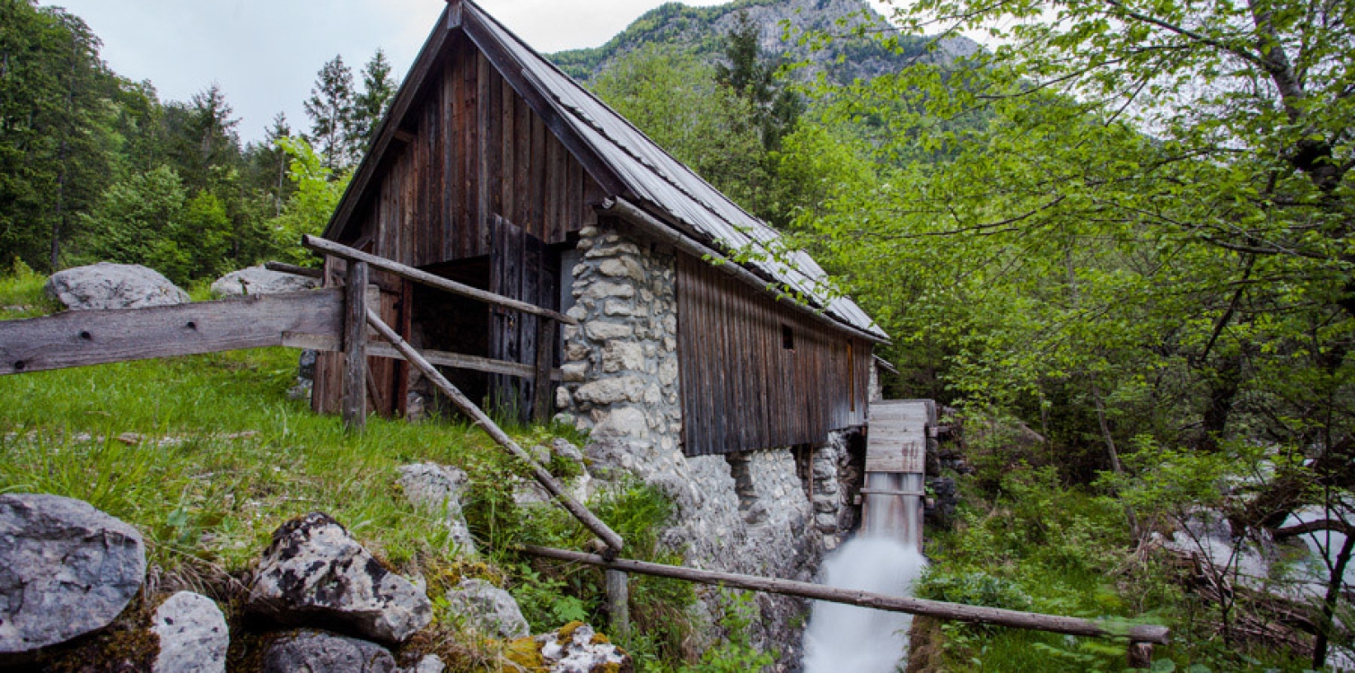 Rogar's sawmill
