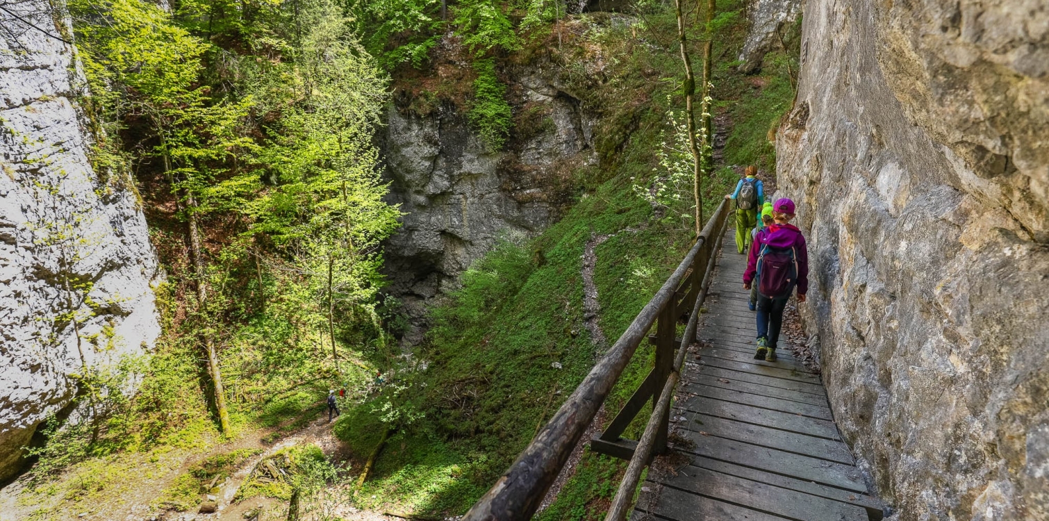 The Pokljuka Gorge