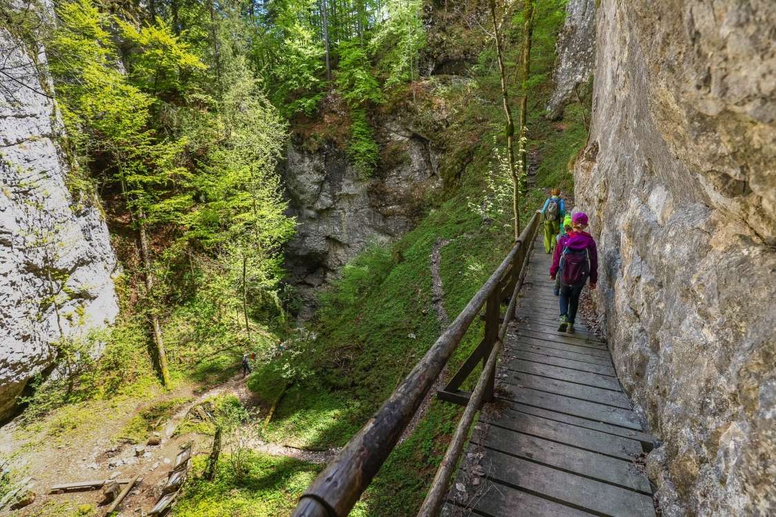 Pokljuška soteska