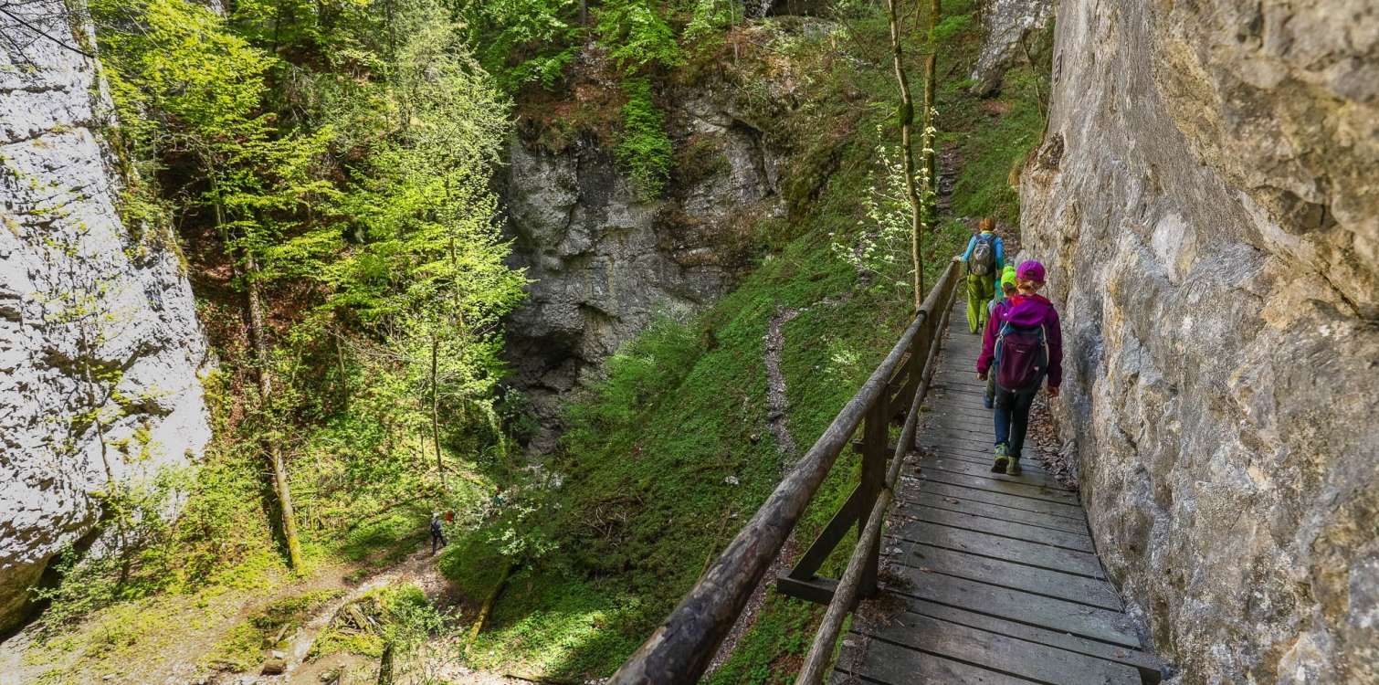 Pokljuška soteska | Triglavski narodni park